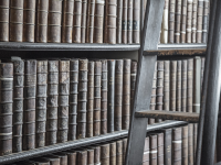 library shelves full of books